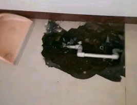 岳普湖卫生间测漏水多少钱